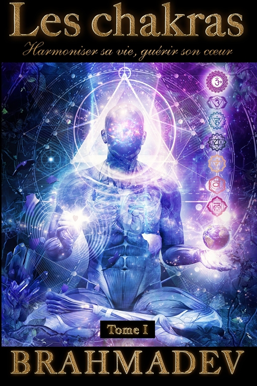 Los chakras web2